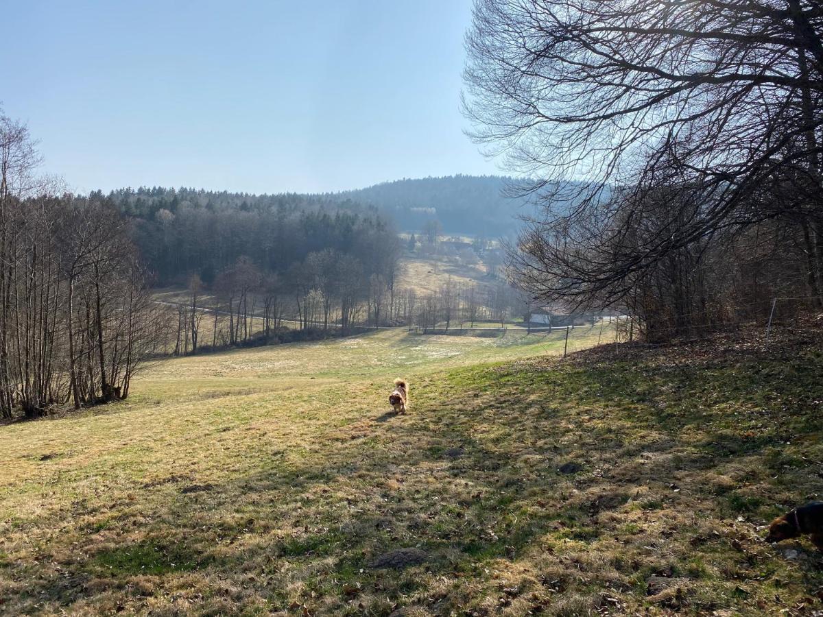 Gartenwohnung Im Gut Sonnenwald Schollnach Екстер'єр фото